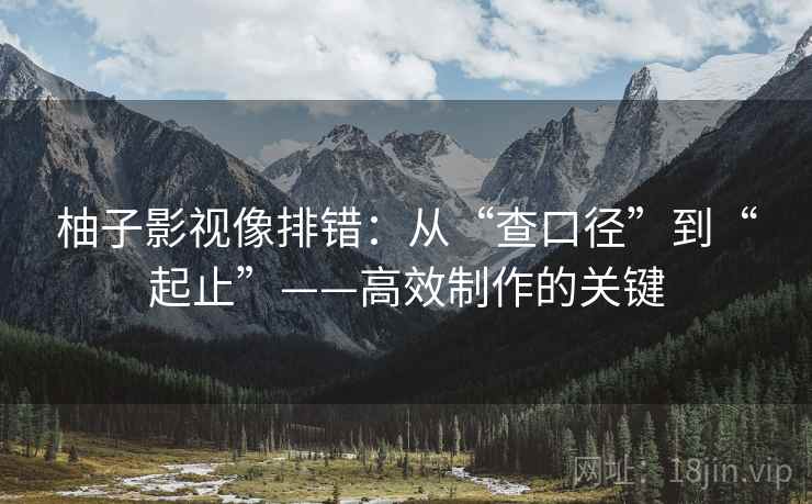 柚子影视像排错：从“查口径”到“起止”——高效制作的关键