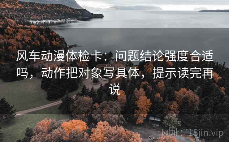 风车动漫体检卡：问题结论强度合适吗，动作把对象写具体，提示读完再说
